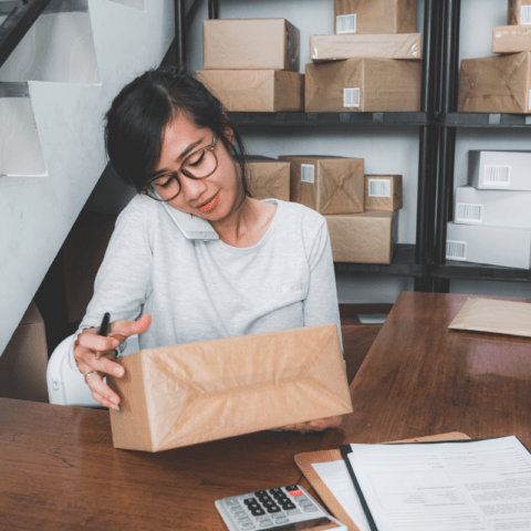 Self Employment Income Support Scheme