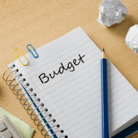 mini budget revised